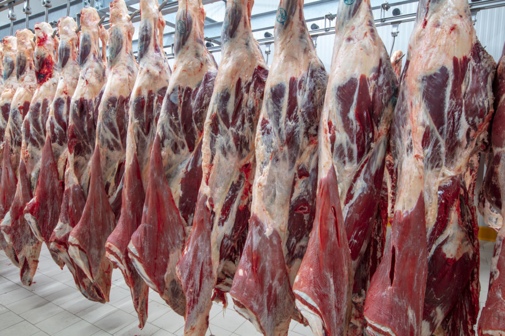 Expertise marchandise transportée - viande pendue - Le Havre, Rouen, Louviers et Paris Ouest